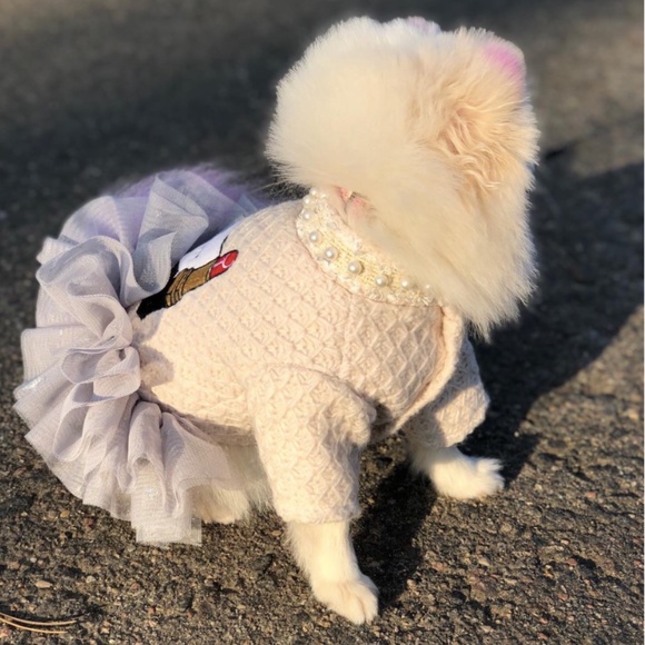 Chewnel COCO tweed Camellia flower dog dress - Picture 2 of 8